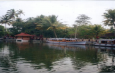 Alleppey – Interesting place to see in Kerala