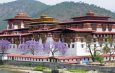 Punakha Dzong – Interesting place in Bhutan