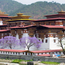 Punakha Dzong – Interesting place in Bhutan