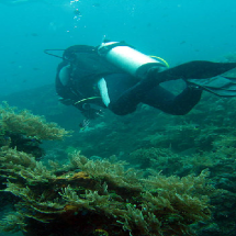 Tulamben – Interesting Place in Bali Island